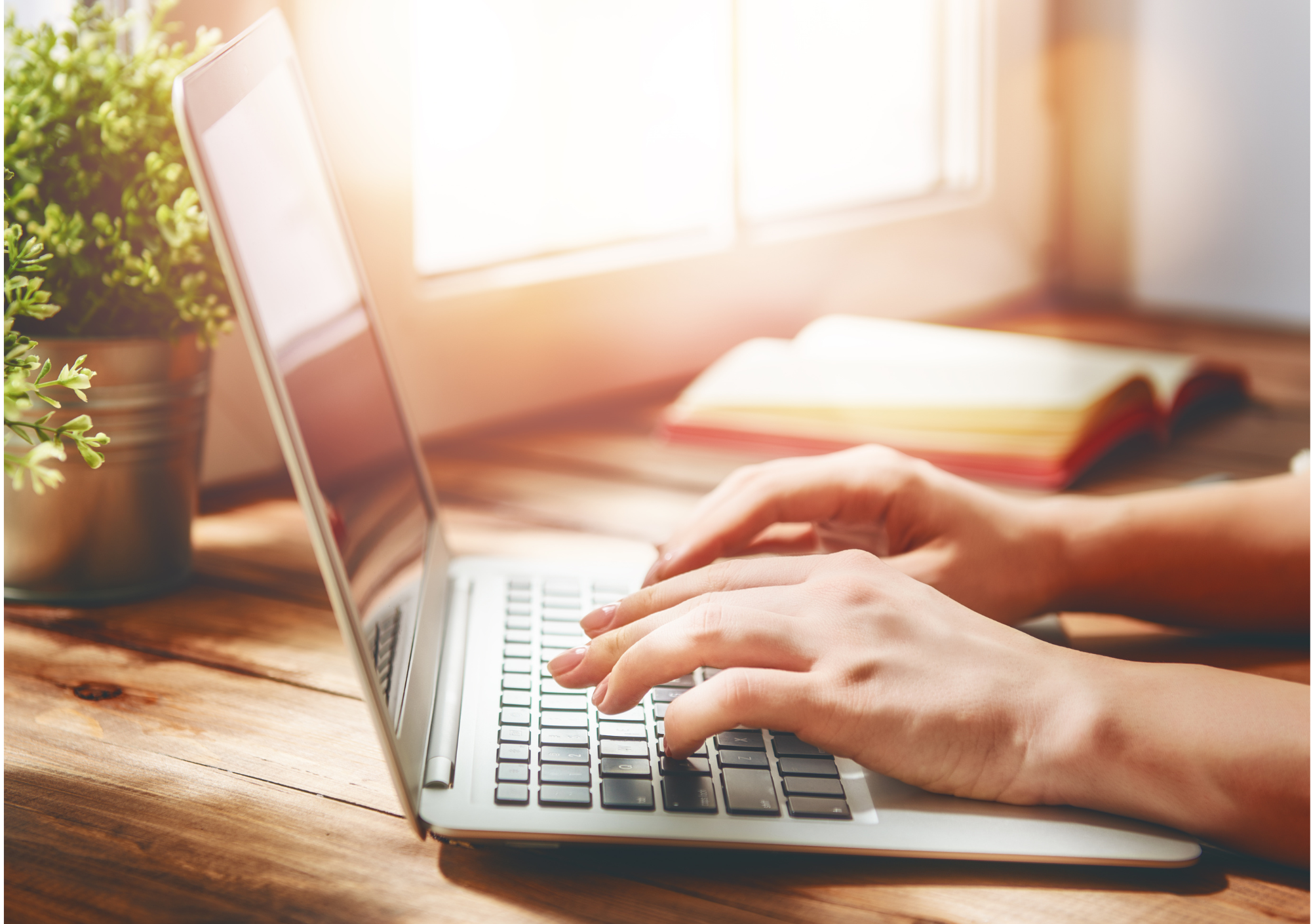 Frau tippt auf Laptop Sonne scheint